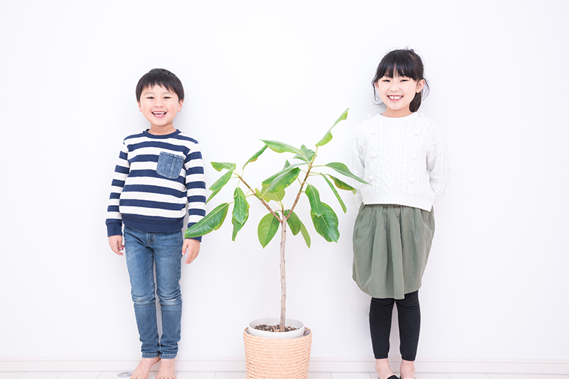 矯正治療で改善が期待